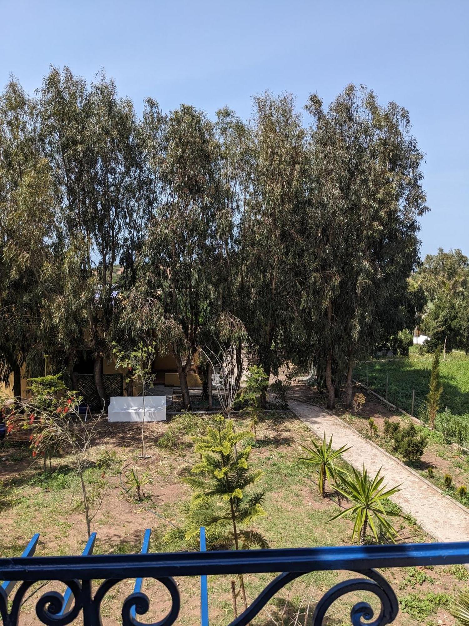 Mesdunes 艾宰穆尔 外观 照片